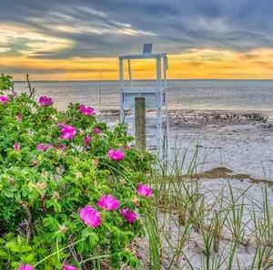 Meet your Posher, Peggy lauretti